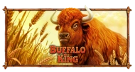 Buffalo King